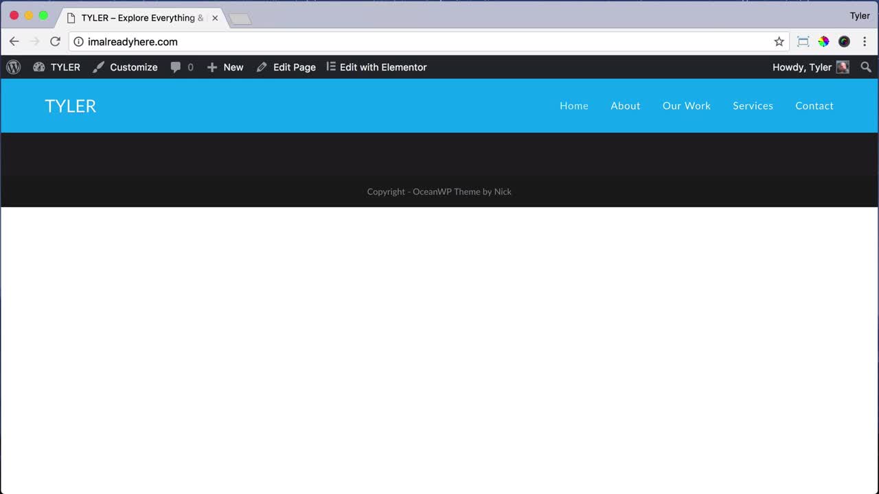 Create Your WordPress Home Page 19
