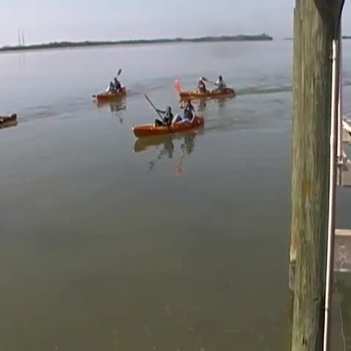 Exploring an Estuary
